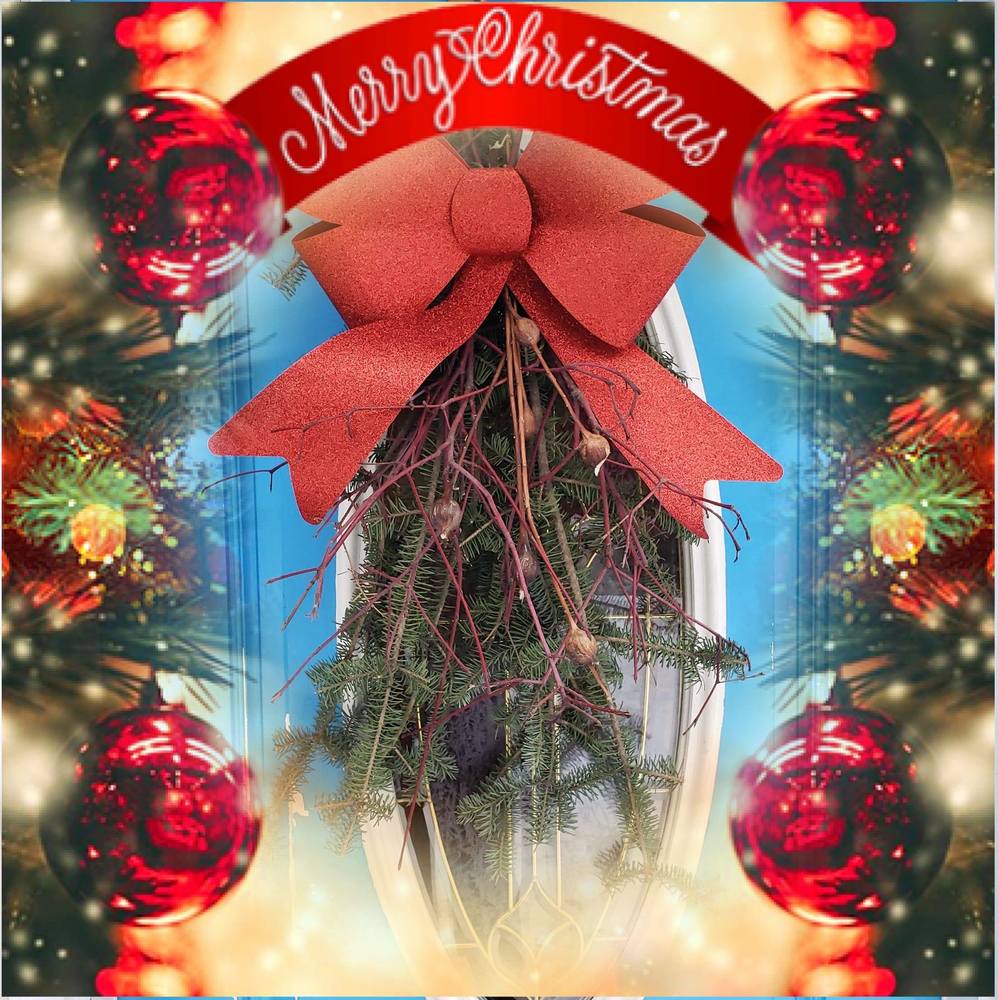 Meet your Posher, Terra